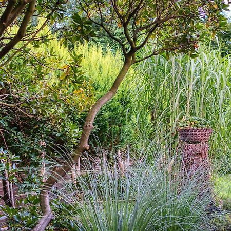 Schwanennest Am Haddorfer See * Top Ausstattung Wettringen  Buitenkant foto